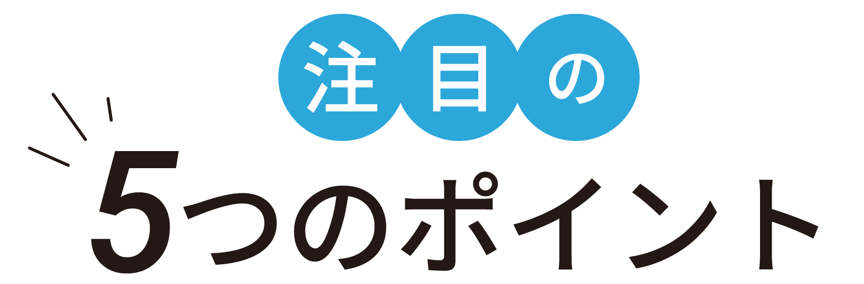 注目の５ポイント